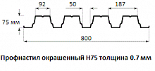 Профнастил окрашенный Н75 0.7х750 длина под заказ