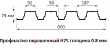 Профнастил окрашенный Н75 0.8х750 Длина под заказ